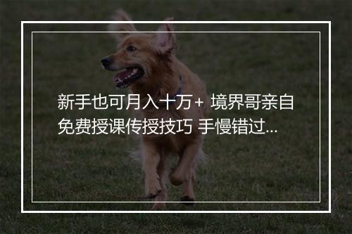 新手也可月入十万+ 境界哥亲自免费授课传授技巧 手慢错过机会(粉丝福利)