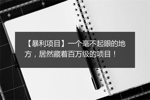 【暴利项目】一个毫不起眼的地方,居然藏着百万级的项目!