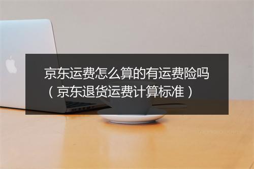 京东运费怎么算的有运费险吗(京东退货运费计算标准)