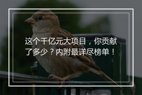 这个千亿元大项目,你贡献了多少?内附最详尽榜单!
