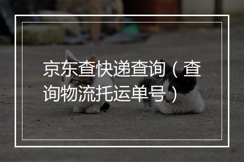 京东查快递查询(查询物流托运单号)
