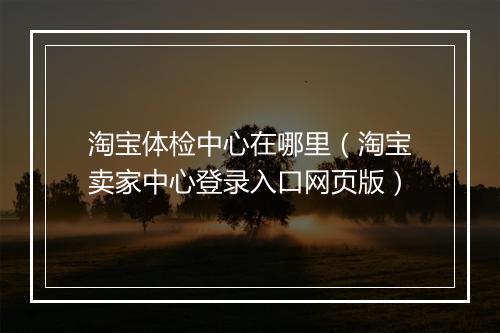 淘宝体检中心在哪里(淘宝卖家中心登录入口网页版)