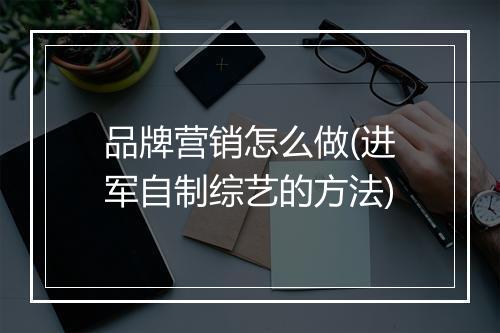 品牌营销怎么做(进军自制综艺的方法)