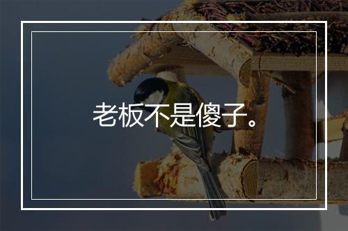 老板不是傻子。