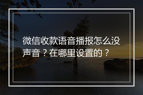 微信收款语音播报怎么没声音?在哪里设置的?