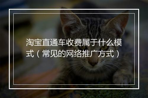 淘宝直通车收费属于什么模式(常见的网络推广方式)