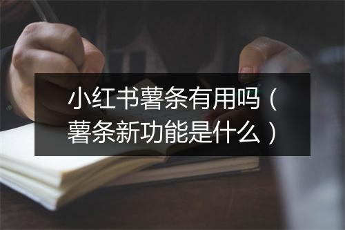 小红书薯条有用吗(薯条新功能是什么)