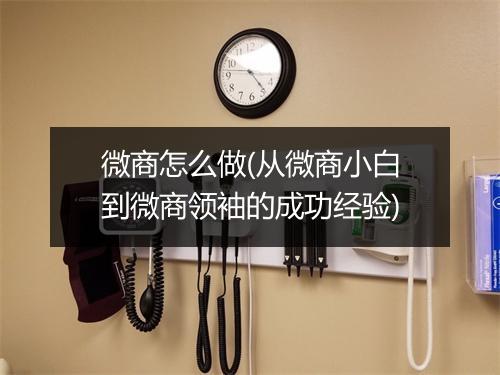 微商怎么做(从微商小白到微商领袖的成功经验)