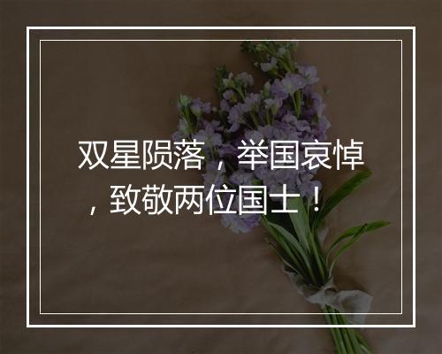 双星陨落,举国哀悼,致敬两位国士!