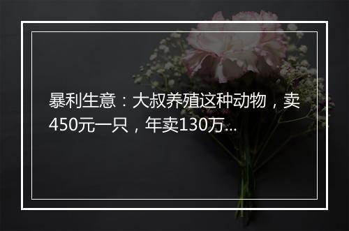 暴利生意:大叔养殖这种动物,卖450元一只,年卖130万,发家致富让人羡慕!