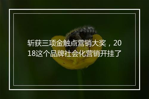 斩获三项金触点营销大奖,2018这个品牌社会化营销开挂了