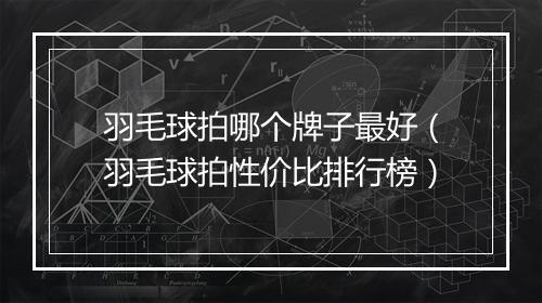 羽毛球拍哪个牌子最好(羽毛球拍性价比排行榜)