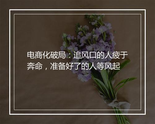 电商化破局:追风口的人疲于奔命,准备好了的人等风起