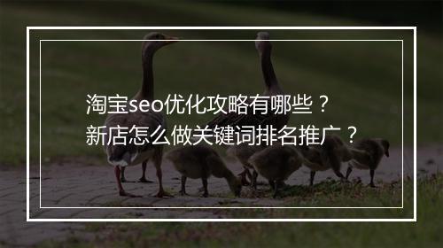 淘宝seo优化攻略有哪些?新店怎么做关键词排名推广?