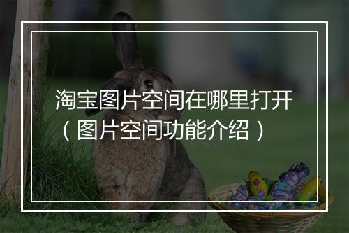 淘宝图片空间在哪里打开(图片空间功能介绍)