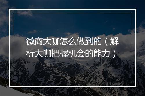 微商大咖怎么做到的(解析大咖把握机会的能力)