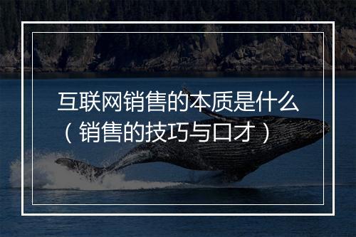 互联网销售的本质是什么(销售的技巧与口才)