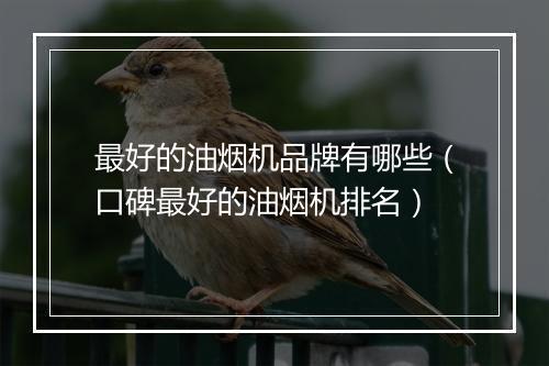 最好的油烟机品牌有哪些(口碑最好的油烟机排名)