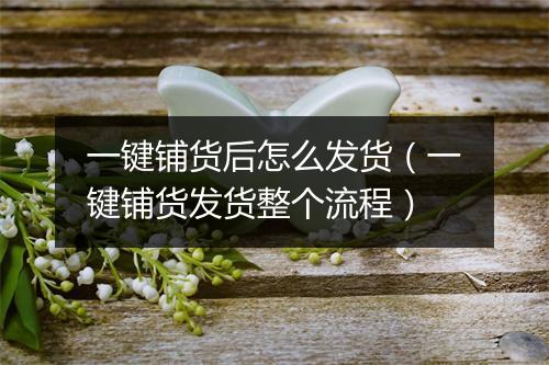 一键铺货后怎么发货(一键铺货发货整个流程)
