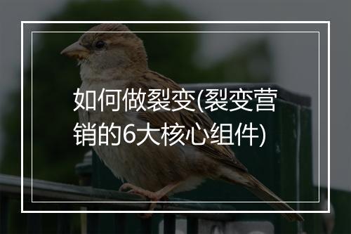 如何做裂变(裂变营销的6大核心组件)