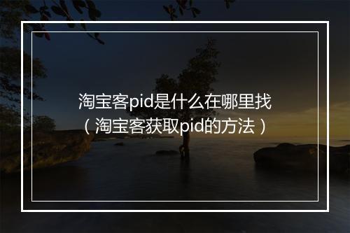 淘宝客pid是什么在哪里找(淘宝客获取pid的方法)