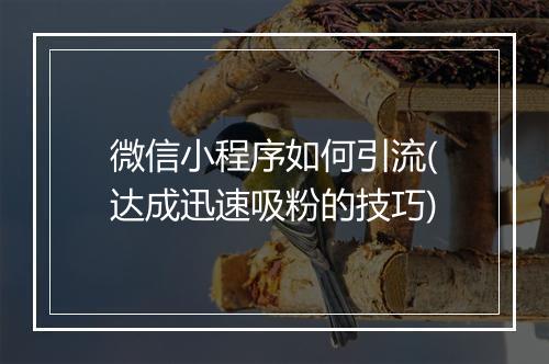 微信小程序如何引流(达成迅速吸粉的技巧)