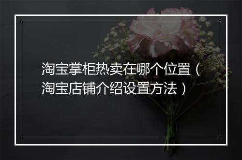 淘宝掌柜热卖在哪个位置(淘宝店铺介绍设置方法)