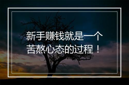 新手赚钱就是一个苦熬心态的过程!