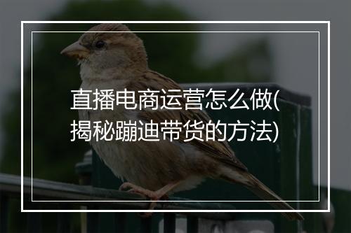 直播电商运营怎么做(揭秘蹦迪带货的方法)
