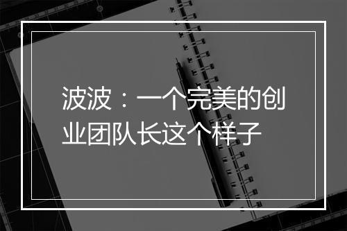波波:一个完美的创业团队长这个样子