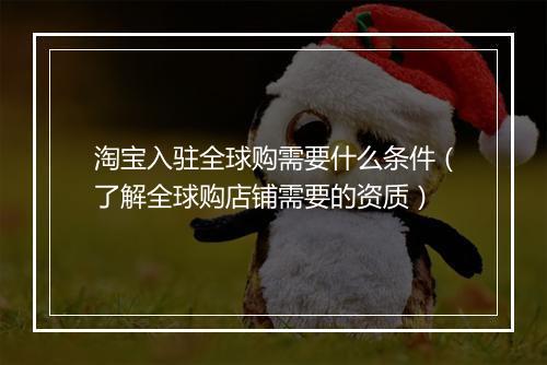 淘宝入驻全球购需要什么条件(了解全球购店铺需要的资质)