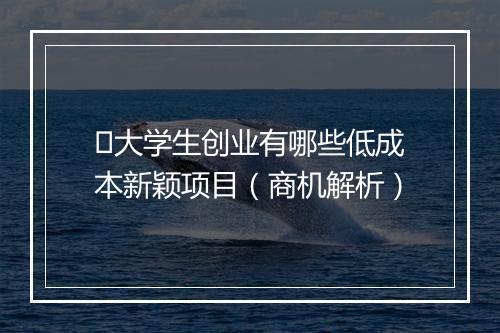大学生创业有哪些低成本新颖项目(商机解析)