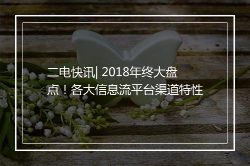二电快讯| 2018年终大盘点!各大信息流平台渠道特性