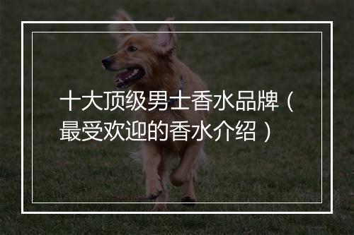 十大顶级男士香水品牌(最受欢迎的香水介绍)