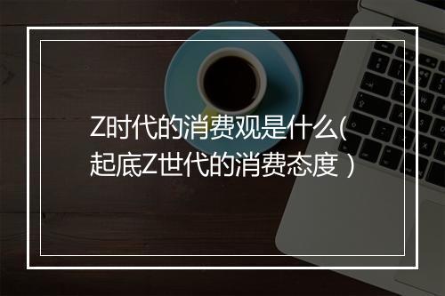 Z时代的消费观是什么(起底Z世代的消费态度)