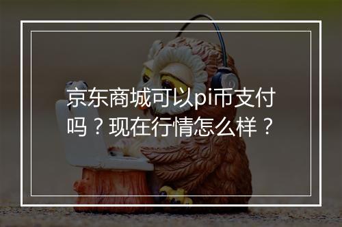 京东商城可以pi币支付吗?现在行情怎么样?