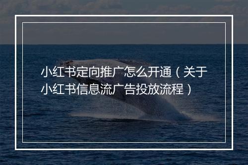 小红书定向推广怎么开通(关于小红书信息流广告投放流程)