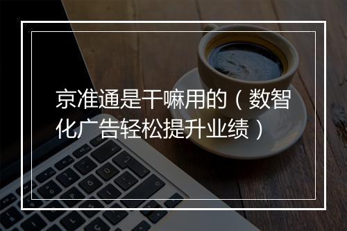 京准通是干嘛用的(数智化广告轻松提升业绩)