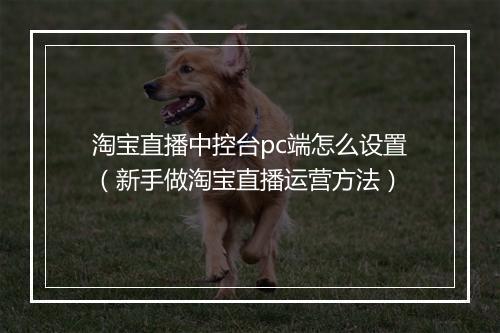 淘宝直播中控台pc端怎么设置(新手做淘宝直播运营方法)