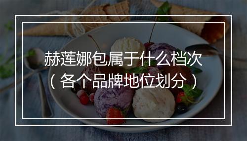 赫莲娜包属于什么档次(各个品牌地位划分)
