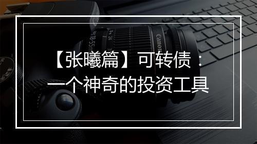 【张曦篇】可转债:一个神奇的投资工具