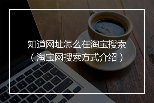 知道网址怎么在淘宝搜索(淘宝网搜索方式介绍)