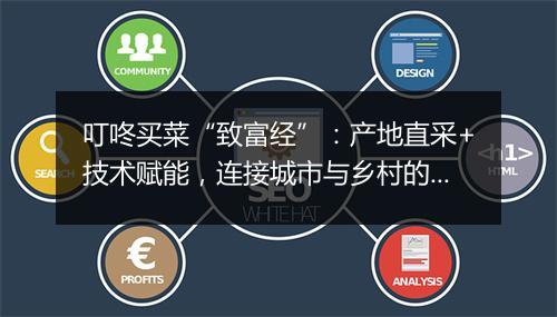 叮咚买菜“致富经”:产地直采+技术赋能,连接城市与乡村的温暖之路
