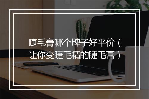睫毛膏哪个牌子好平价(让你变睫毛精的睫毛膏)