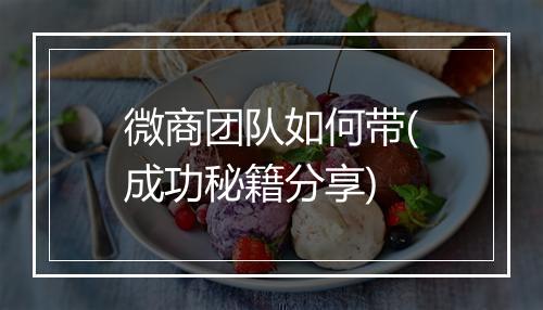 微商团队如何带(成功秘籍分享)