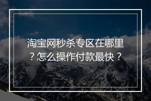 淘宝网秒杀专区在哪里?怎么操作付款最快?