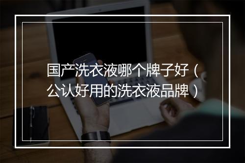 国产洗衣液哪个牌子好(公认好用的洗衣液品牌)