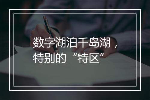 数字湖泊千岛湖,特别的“特区”