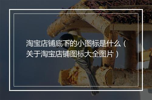 淘宝店铺底下的小图标是什么(关于淘宝店铺图标大全图片)