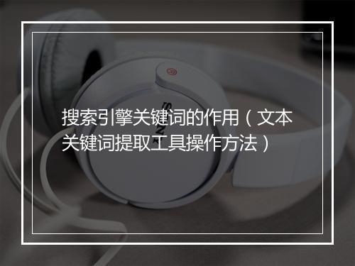 搜索引擎关键词的作用(文本关键词提取工具操作方法)
